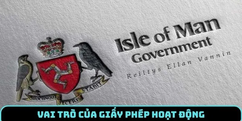 giay-phep-hoat-dong-vai-tro